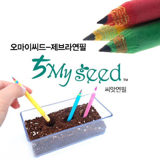 오마이씨드1본입-제브라몽당 [씨앗연필]