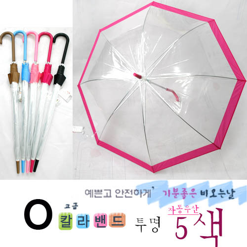 칼라 밴드 투명 비닐우산
