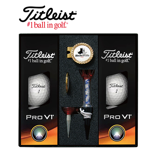 타이틀리스트 Pro V1 골프볼 6구+볼마커(골드)+자석티 세트