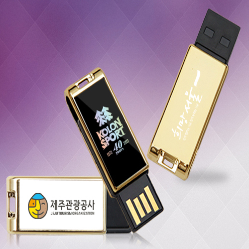 다올 로트스윙 골드1 USB 메모리