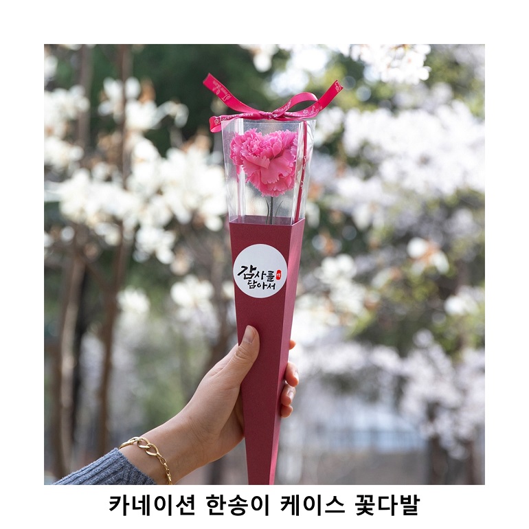 위크앤드 카네이션 한송이 케이스 꽃다발(입학식/졸업식/어버이날/스승의날)