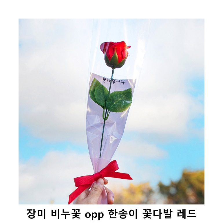 위크앤드 장미 비누꽃 opp 한송이 꽃다발 레드
