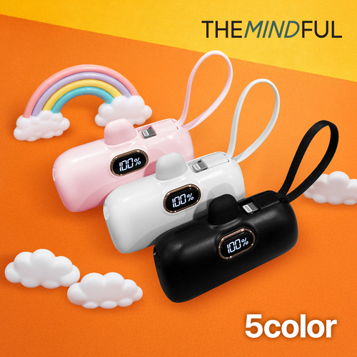 더마인드풀 초고속 PD 22.5w LCD 5000mah 보조배터리 CtoC Cto8