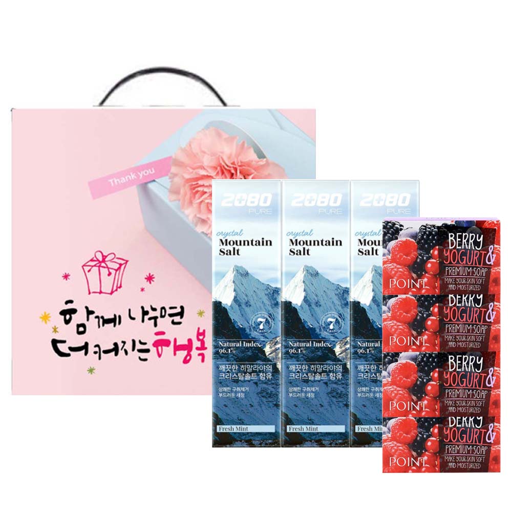 애경 2080 히말라야 마운틴 솔트 치약 +비누세트
