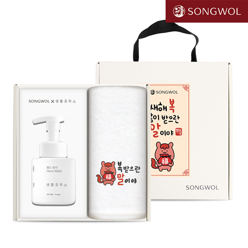 송월 핸드워시 기프트세트 18 (신년 붉은 말이야 자수 호텔수건 150g 1P + 생활공작소250ml 1P)