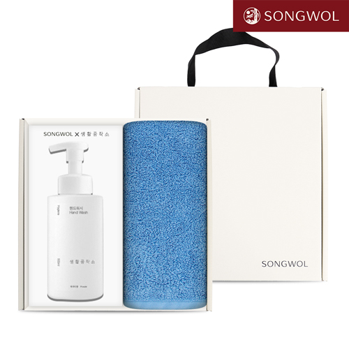 송월 핸드워시 기프트세트 09 (항균 프리미엄 무지170g 1P + 생활공작소500ml 1P)