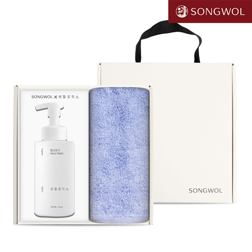 송월 핸드워시 기프트세트 10 (항균 코마40수무지180g 1P + 생활공작소500ml 1P)
