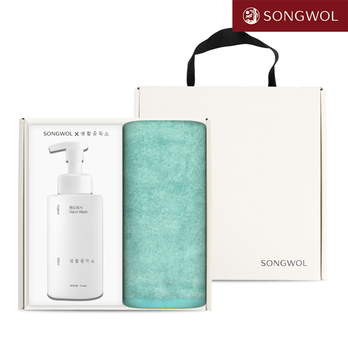 송월 핸드워시 기프트세트 17 (솔리드 뱀부무지 250g 1P + 생활공작소500ml 1P)