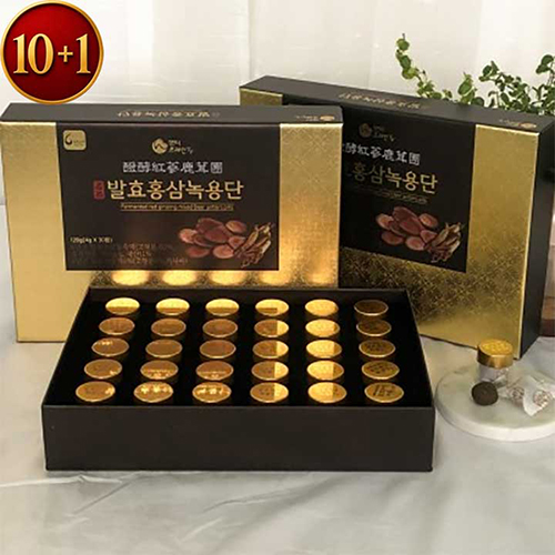 10+1 대한홍삼 발효홍삼 녹용단(4g x 30환)