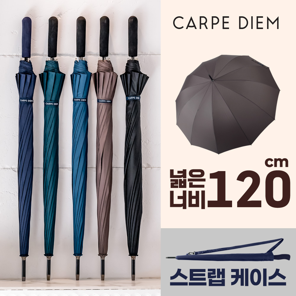 카르페디엠 3HHS005 장우산 70*12K