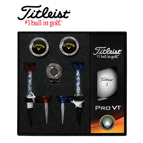 타이틀리스트 Pro V1 골프볼+볼마커(실버)+자석티(2) 세트