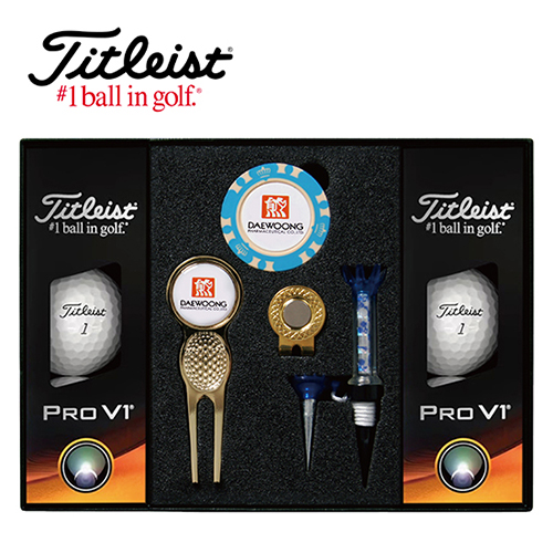 타이틀리스트 Pro V1 골프볼 6구+칩볼마커+그린보수기볼마커(골드)+자석티 세트