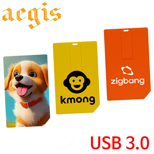 이지스 카드형 USB 3.0 메모리 64GB