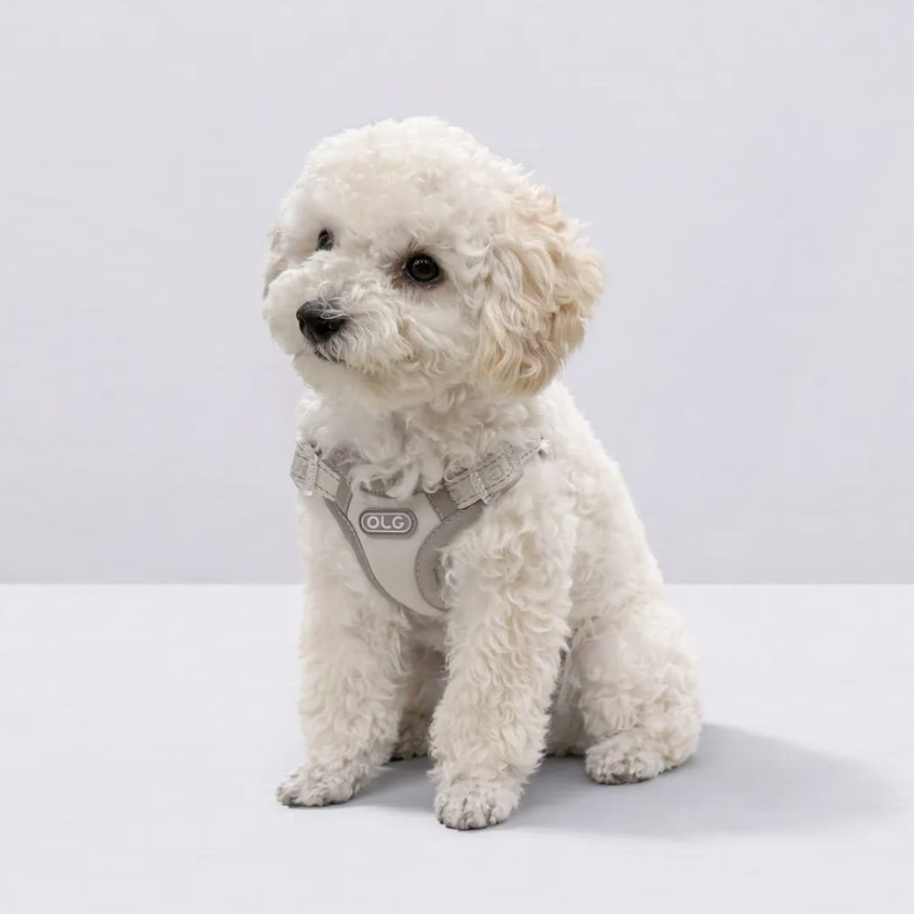 초소형 강아지 세이프하네스 슬개골 리프팅 관절보호 기도압박 없는 h형y형x형 산책용 소형중형견 반려견 애견용
