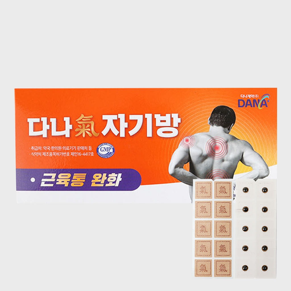다나자기방 자석 동전 패치파스