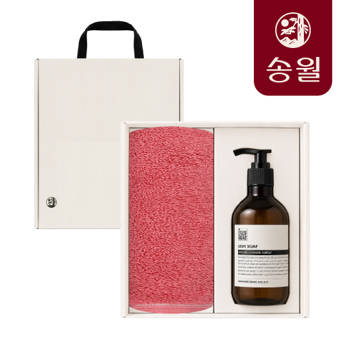 송월 컬러풀 170g X 러브메레 세정제품 선물세트